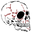 Dress Skulls logo